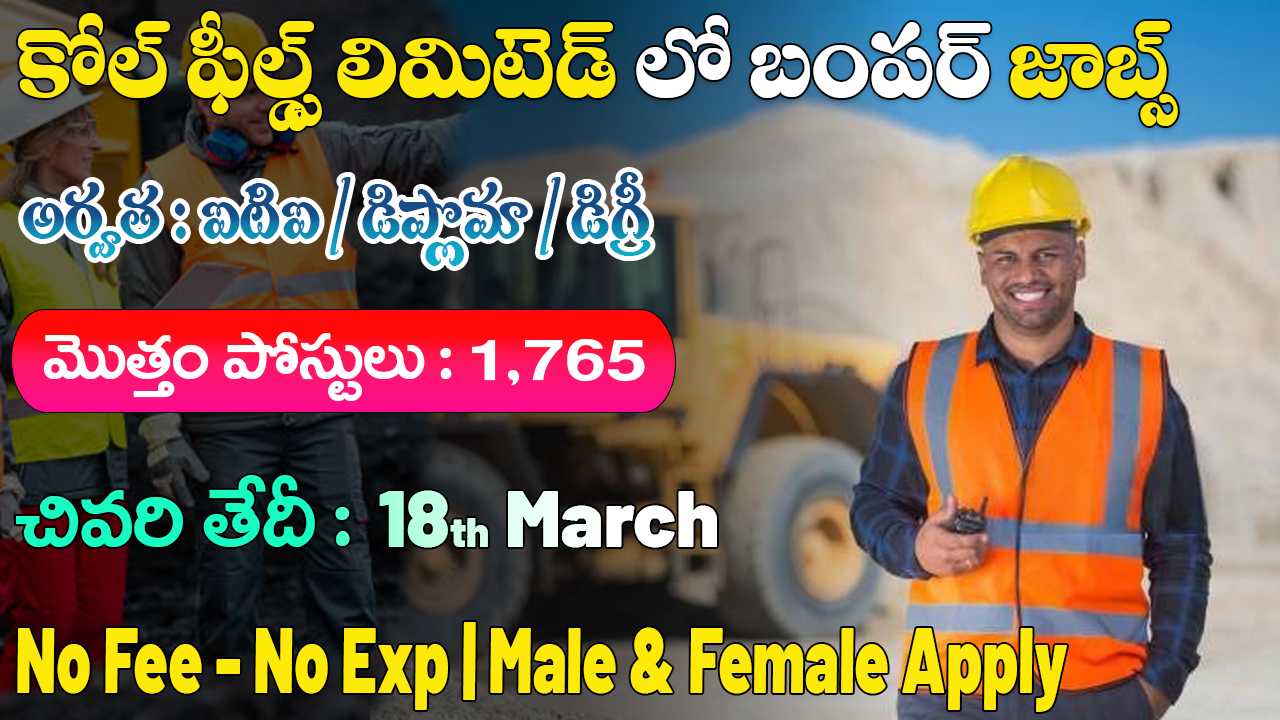 NCL CIL Apprentice Recruitment 2025