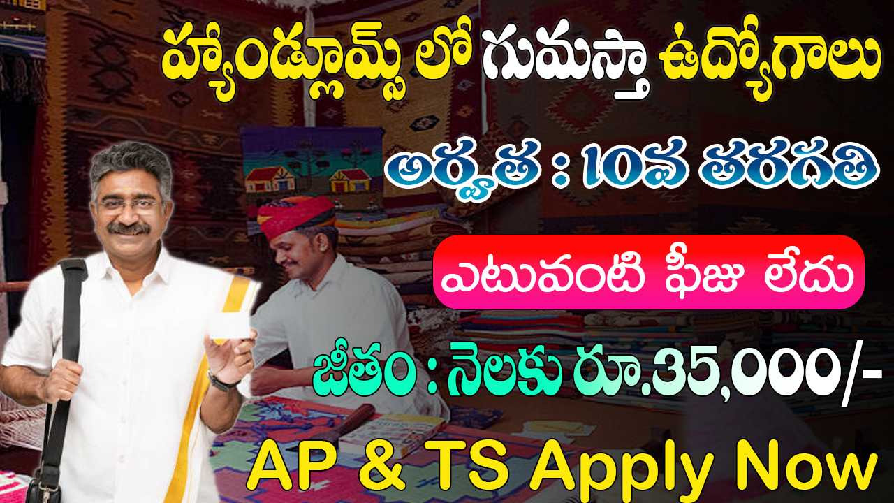 Handloom Development Commissioner Group C Jobs 2025
