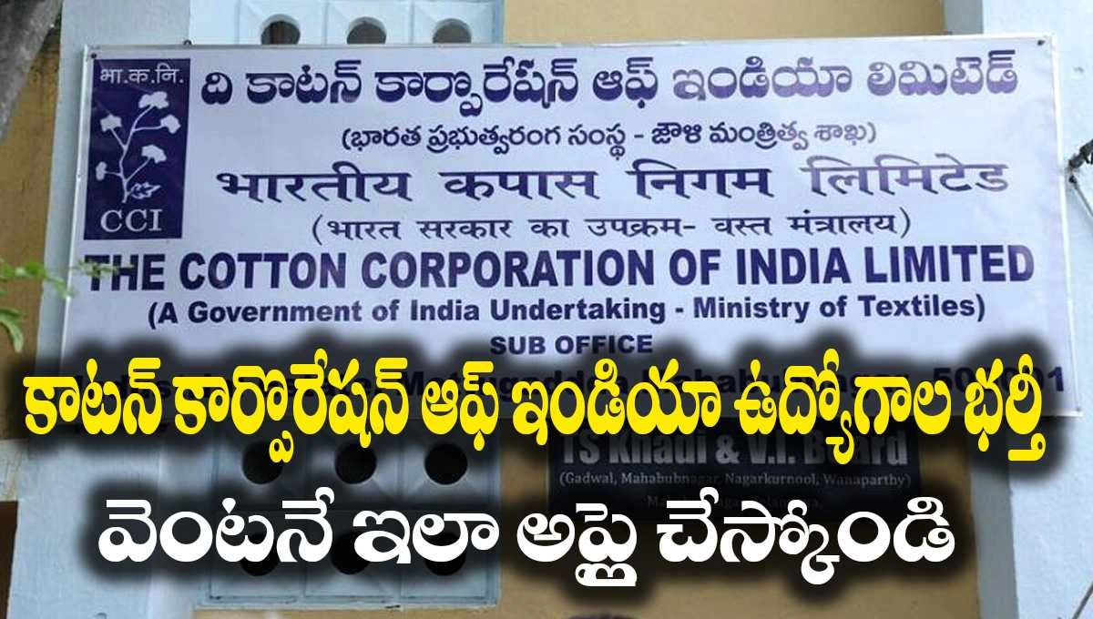 Cotton Corporation of India Jobs 2025