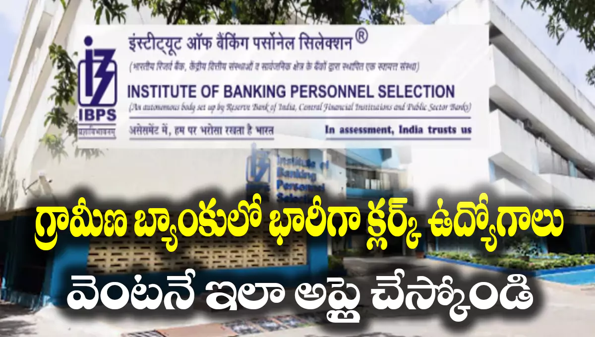 IBPS RRB Office Assistant Recruitment 2025