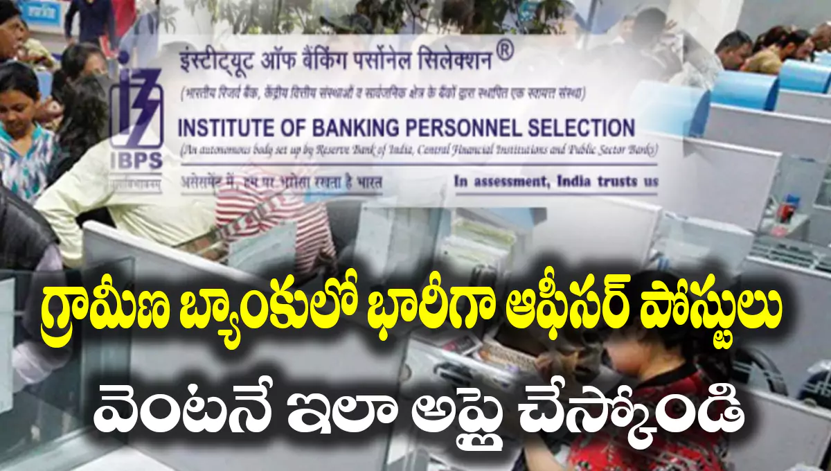 IBPS RRB PO Recruitment 2025