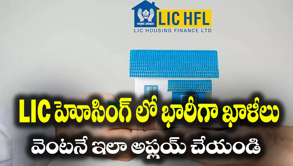 LIC HFL Apprentice Recruitment 2025