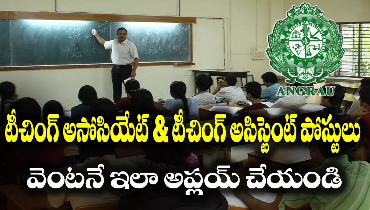 ANGRAU Recruitment 2025